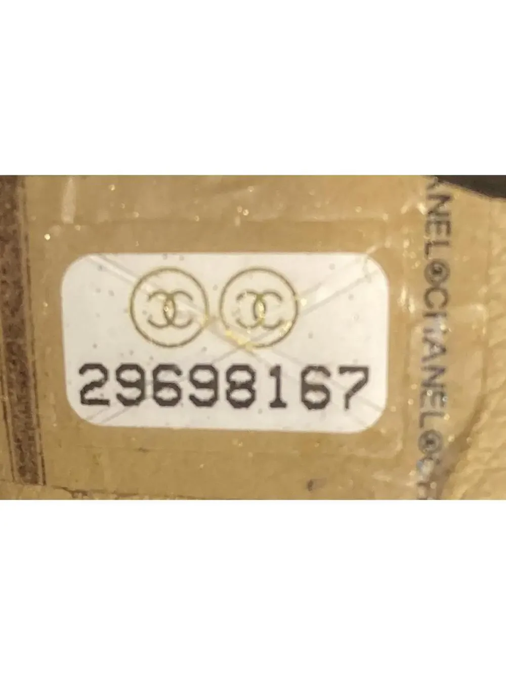 Chanel Logo Enchained Camera Case #239932C34B